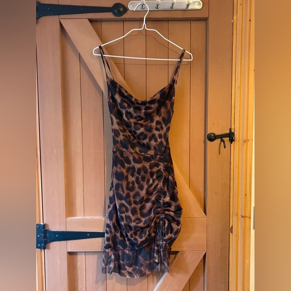 Leopard Print Women's Dress